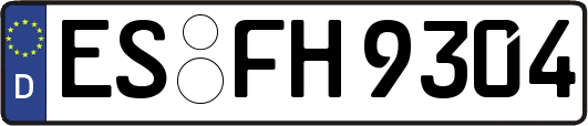 ES-FH9304