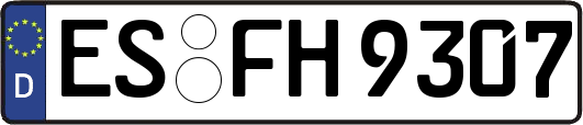 ES-FH9307
