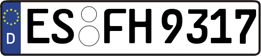 ES-FH9317