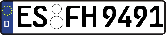 ES-FH9491