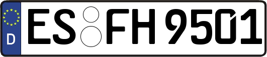 ES-FH9501