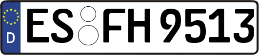 ES-FH9513