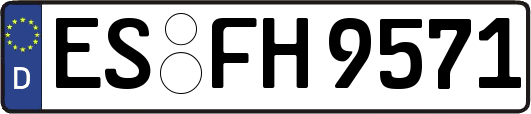 ES-FH9571