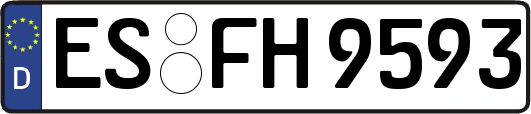 ES-FH9593