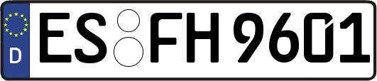 ES-FH9601