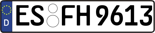 ES-FH9613