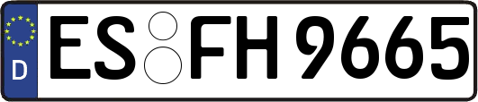 ES-FH9665