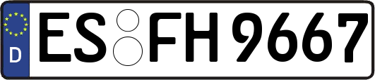 ES-FH9667