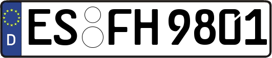 ES-FH9801