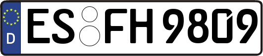 ES-FH9809