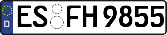 ES-FH9855