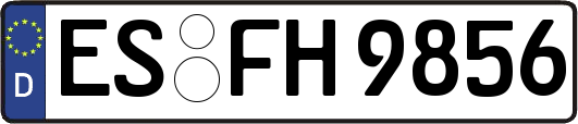 ES-FH9856