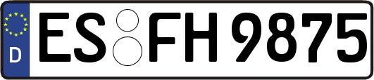 ES-FH9875