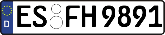 ES-FH9891