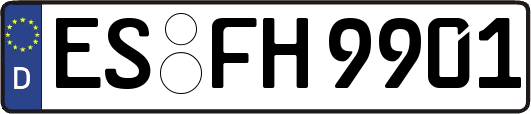 ES-FH9901