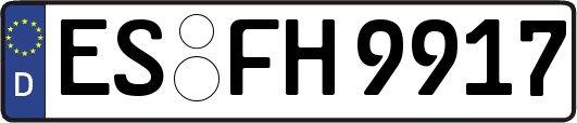 ES-FH9917