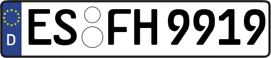 ES-FH9919