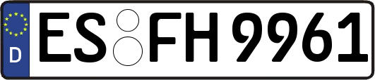 ES-FH9961