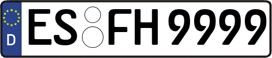 ES-FH9999