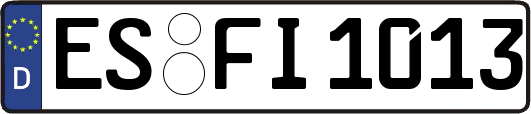 ES-FI1013