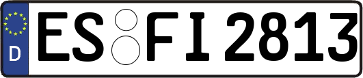 ES-FI2813