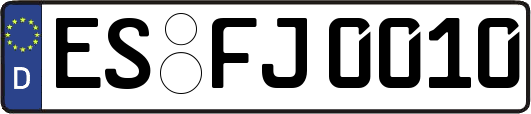 ES-FJ0010
