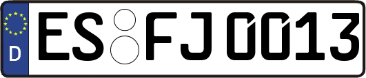 ES-FJ0013