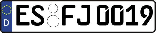 ES-FJ0019