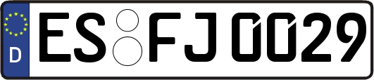 ES-FJ0029