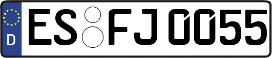 ES-FJ0055