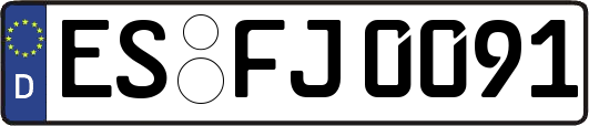 ES-FJ0091