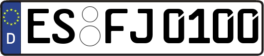 ES-FJ0100