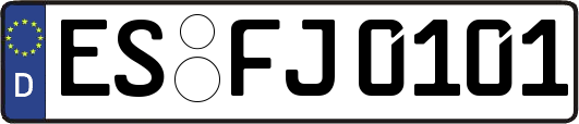 ES-FJ0101