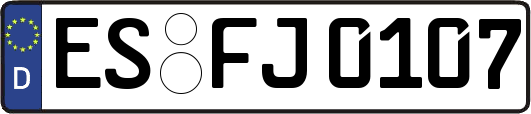 ES-FJ0107