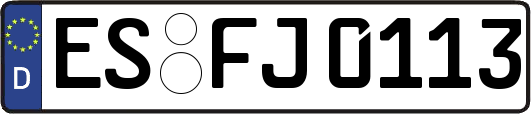 ES-FJ0113