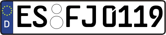 ES-FJ0119