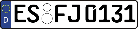 ES-FJ0131
