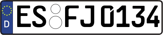 ES-FJ0134