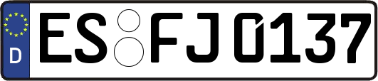 ES-FJ0137