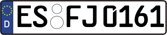 ES-FJ0161