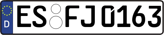 ES-FJ0163