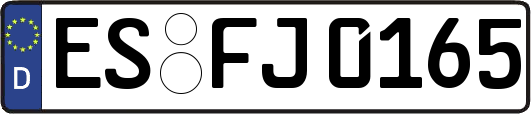 ES-FJ0165