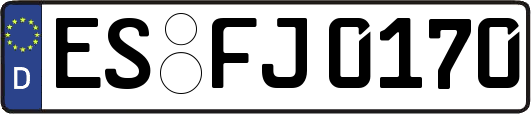 ES-FJ0170