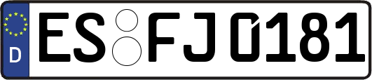 ES-FJ0181