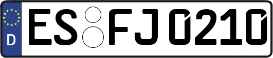 ES-FJ0210