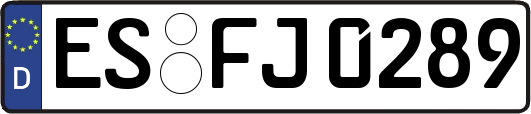 ES-FJ0289