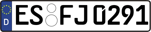 ES-FJ0291
