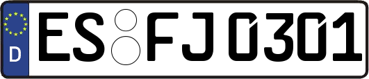 ES-FJ0301
