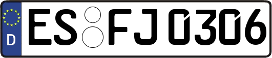 ES-FJ0306