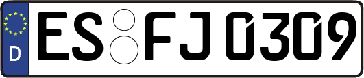 ES-FJ0309